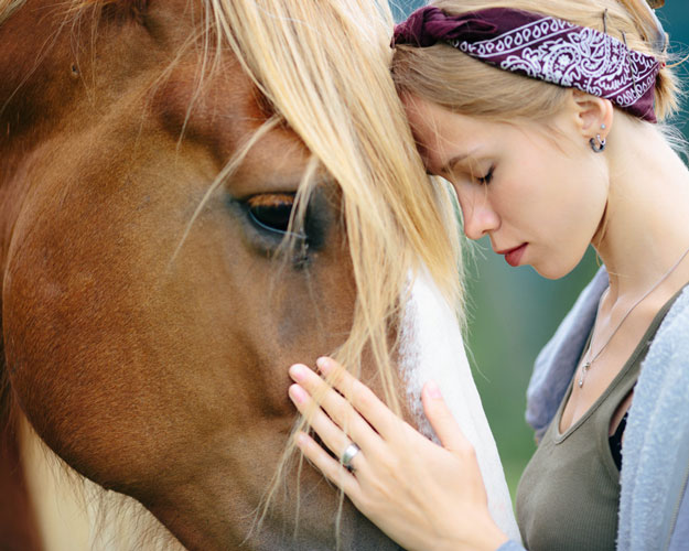 Animal Assisted Counseling Is Available